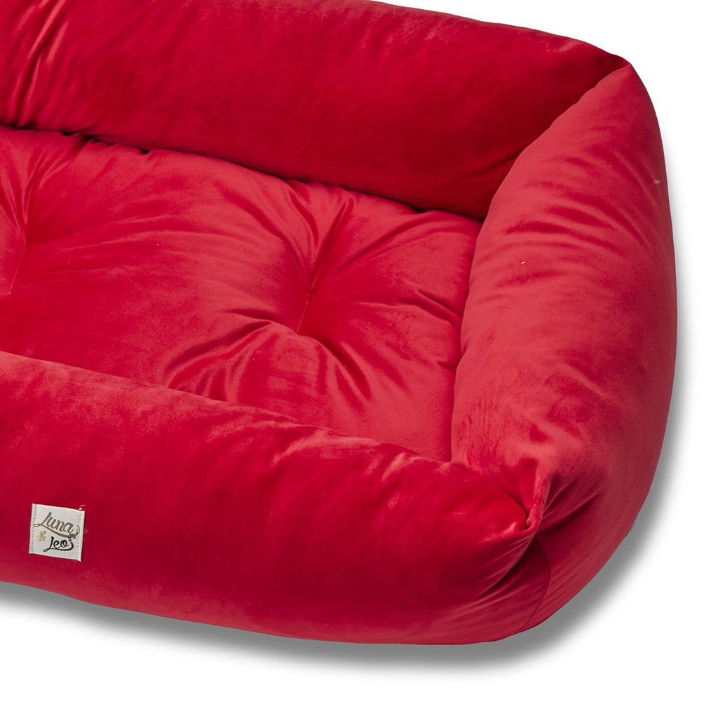 Red velvet dog sofa: bold elegance and enveloping comfort