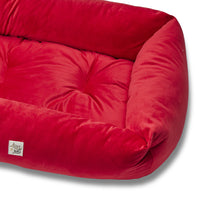 Red velvet dog sofa: bold elegance and enveloping comfort