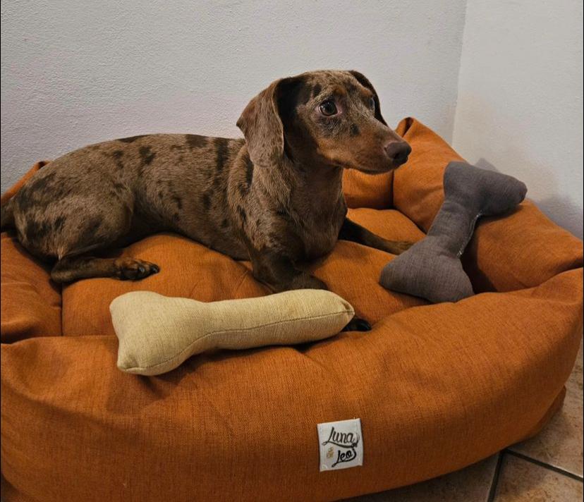 Scritta messaggio del cuore