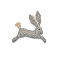 Saltaconiglio (gioco per cani)