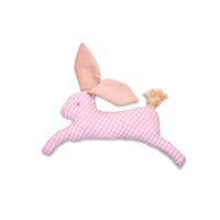 Saltaconiglio (gioco per cani)