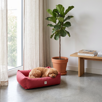 Divanetto Waterproof Everyday Rosso Siena | Made in Italy | Leo & Luna
