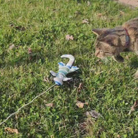gioco-gatto-rilassante