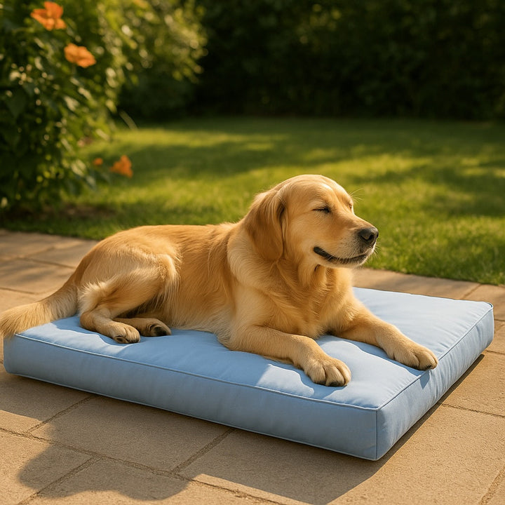 Materassini estivi: comfort ovunque, anche dove arriva il sole
